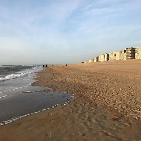 Apollo Gv01g In With Sea View Lejlighed Koksijde